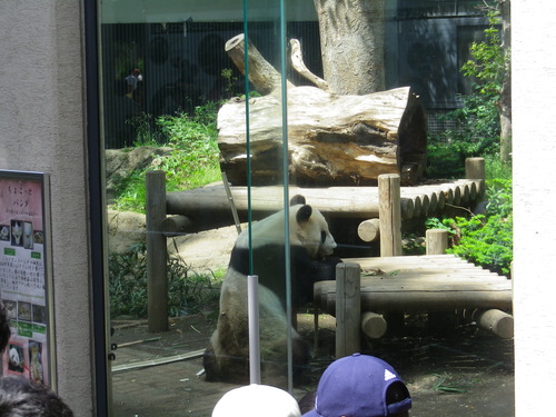 2014_05050059