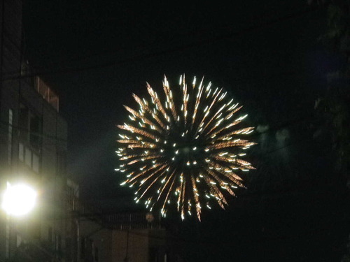 IMGP8731