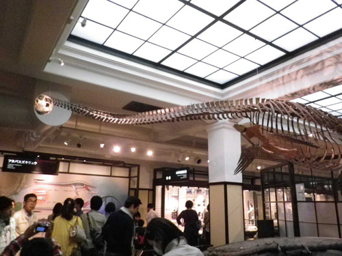 2013_05061月1日 0034