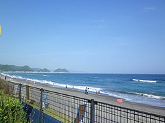 海