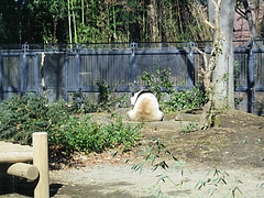 2012_02191月1日 0031