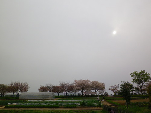 IMGP8195