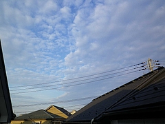 2011_06221月1日 0002