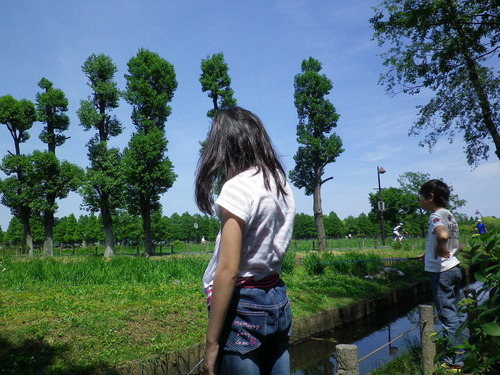 2015_05190029