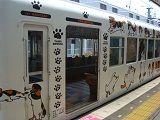 E130430445