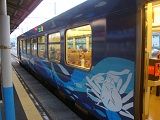 E1600422102