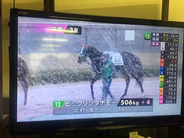 ビックリシタナモー