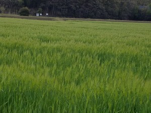 20170422_073544