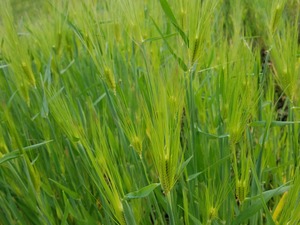 20170422_073601