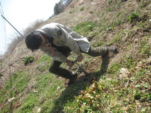 2011年4月1日0242