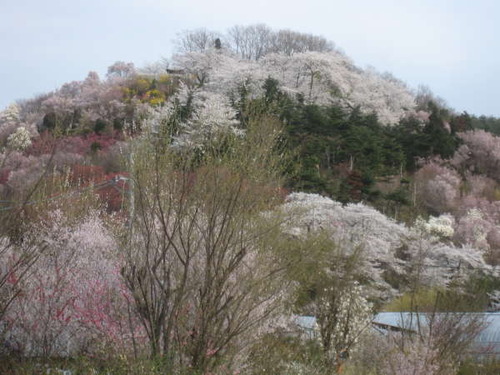 2011年4月16日0070
