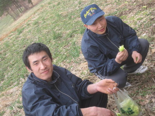 2011年4月1日0210
