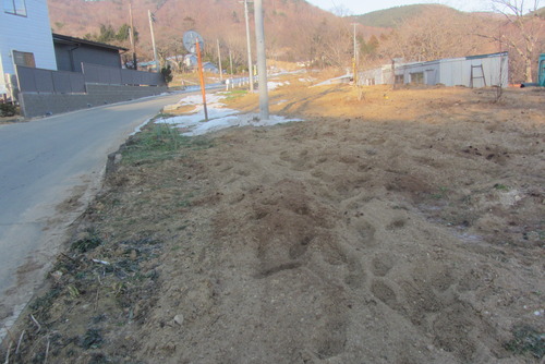 2019-02-05 005