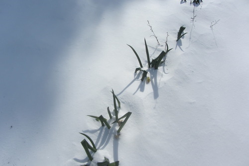 2019-01-22 007