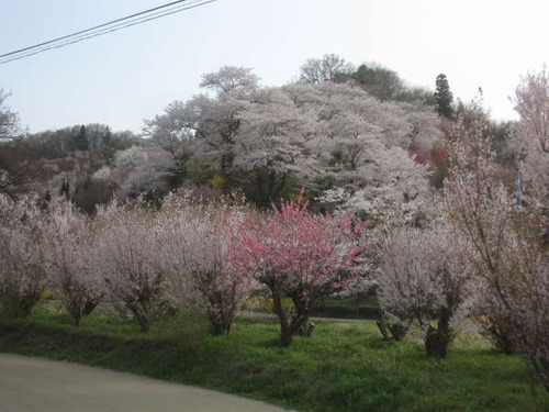 2011年4月16日0072