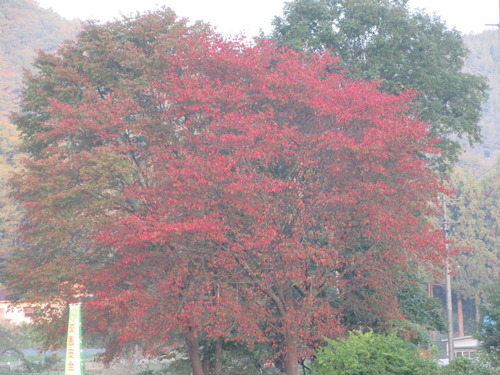 2018-10-09 001