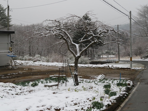 2019-03-30 008