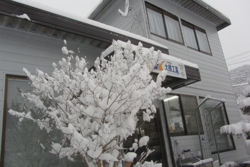 2019-01-26 002
