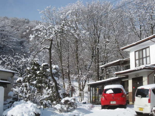 2011ǯ3·î23Æü0110