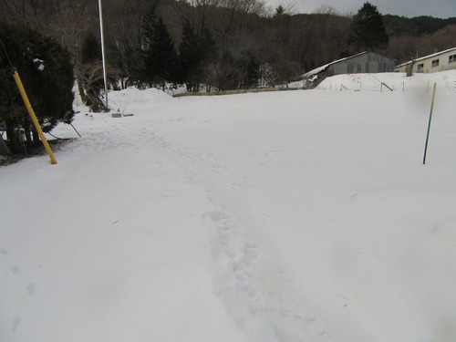 2019-01-29 018