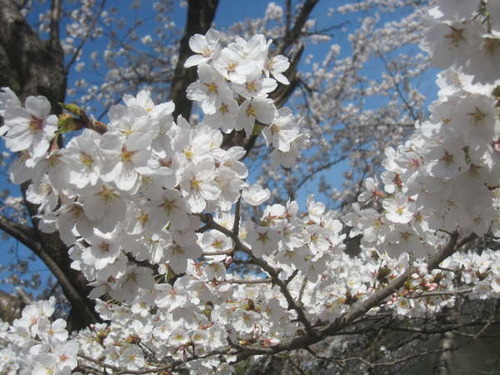 2011年4月16日0040