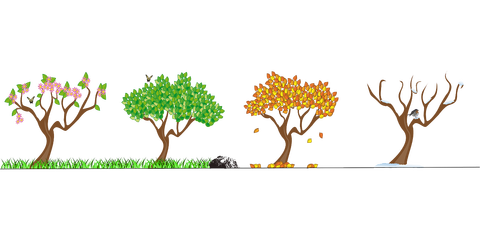 seasons-158601_1280