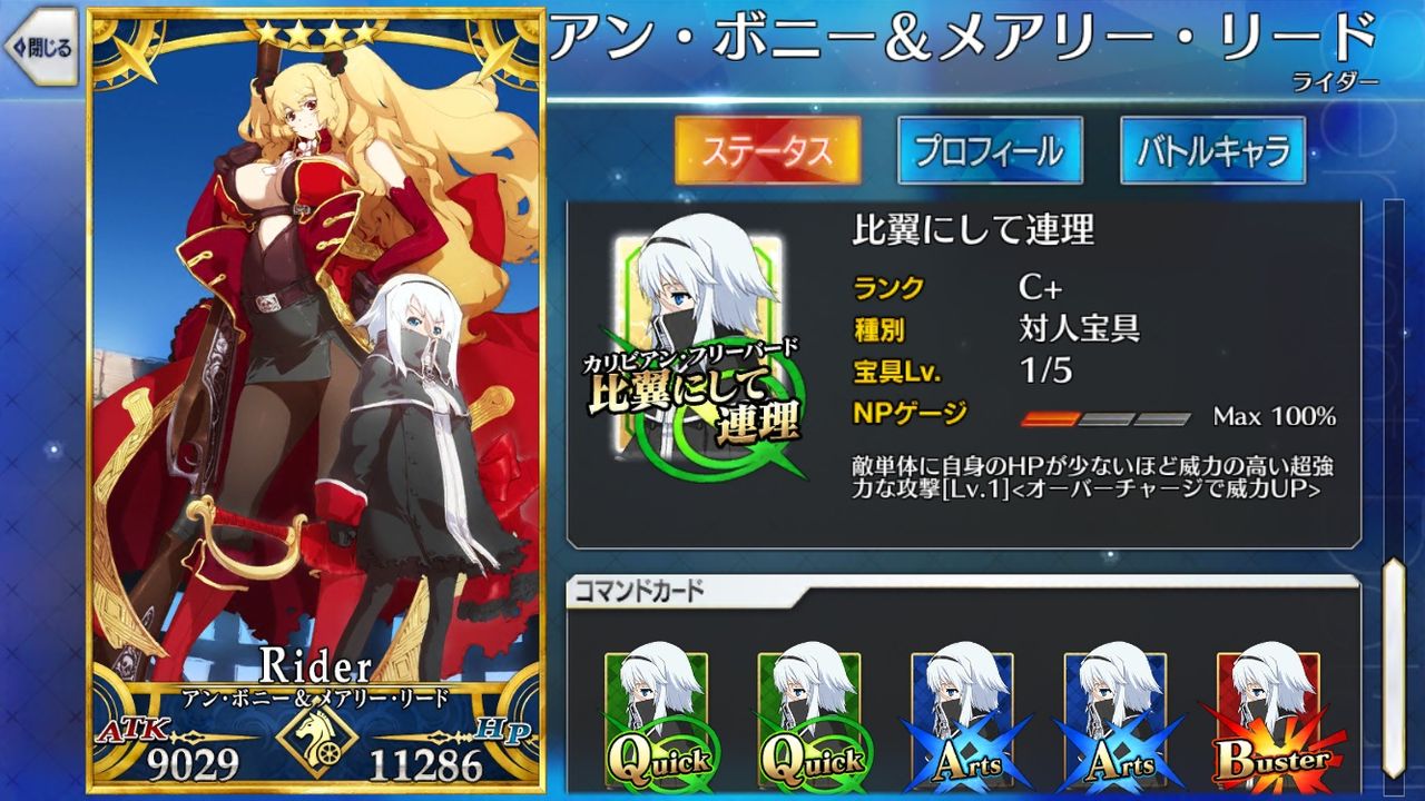 Anne Bonny and Mary Read: Servant Guide [Fate Grand Order/ FGO]