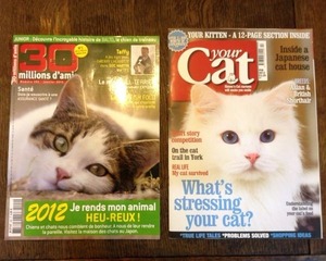 magazine