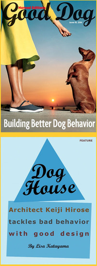 GoodDog�ϴ���