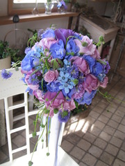 IMG_0800_1