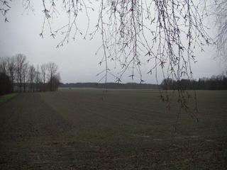 CIMG4963