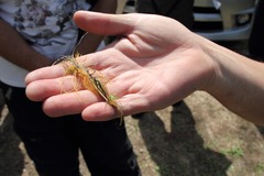 image023