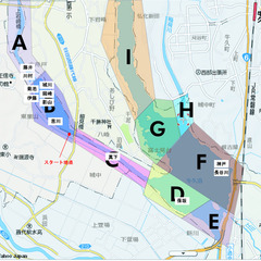 9925d033