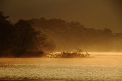 20110717_051503