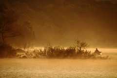 20110717_051445