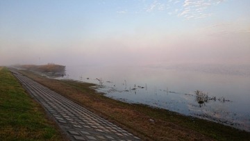 zenjitu_gogan