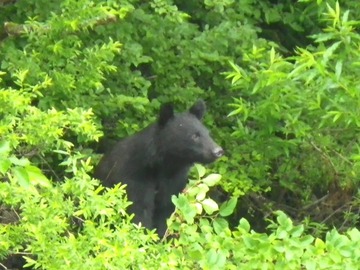 20106258_1612887195410835_840177252453317115_n