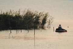 2012_sakaura-16