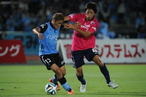 araiba-500x333