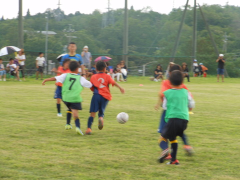 DSCN5594