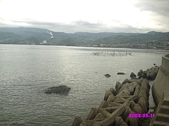 HIMG0531