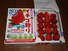 母ウッチー様より苺