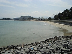 海岸にて1