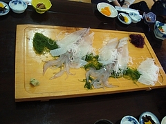 呼子のいか