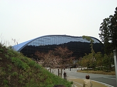 mini_DSC01294