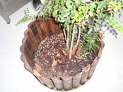 植栽の犬・ネコ糞対策