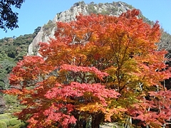 御船山楽園1