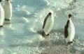 d887df22.gif