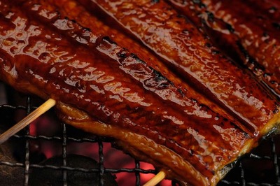 unagi