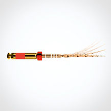 waveone_gold_img_01